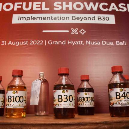 Biofuel Showcase Implementation Beyond B30