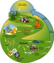 Bahan bakar bio merupakan bahan bakar yang berasal dari